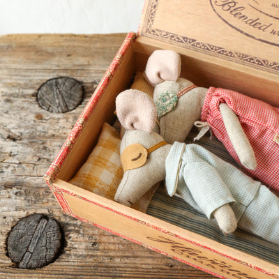 Mum & Dad Mice in Cigarbox Toy