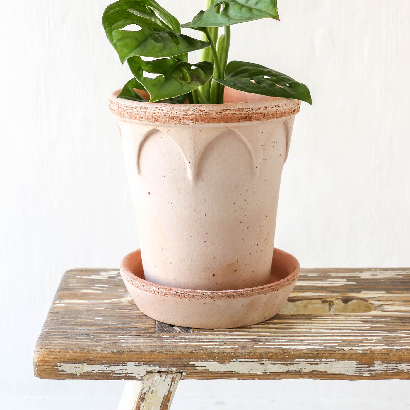 12cm Elizabeth Plant Pot & Saucer - Rose