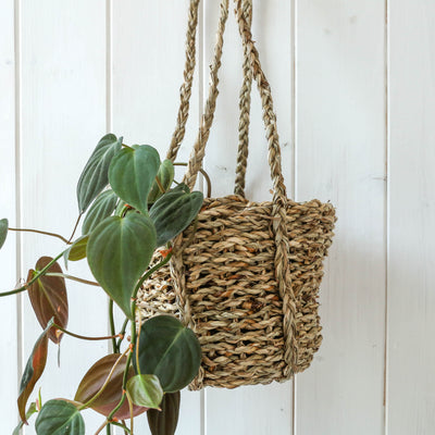 Sangdi Seagrass Hanging Planter - Small