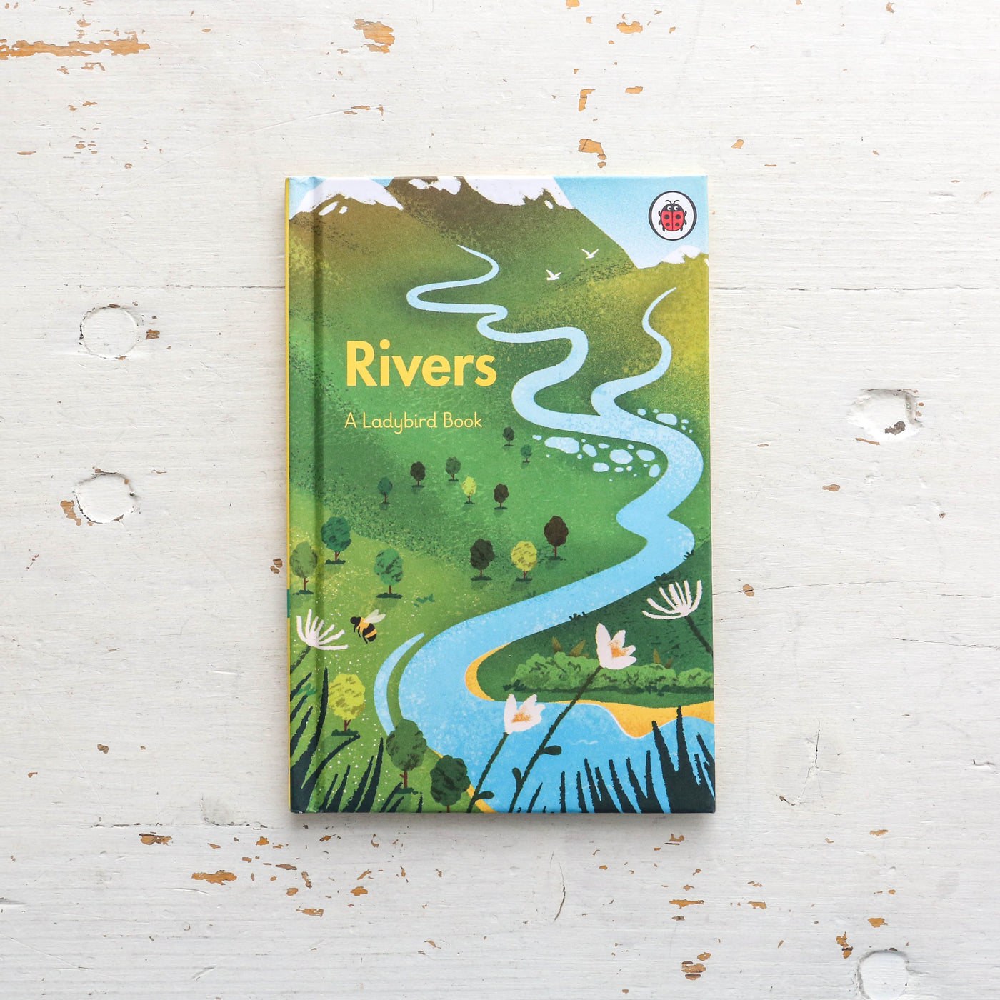 Rivers - A Ladybird Book