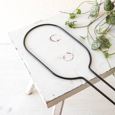 Mini Black Plant Stake - Hoop