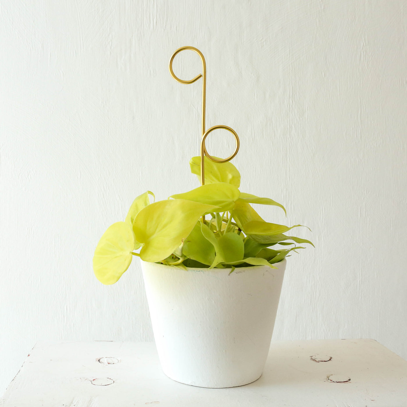Mini Golden Plant Stake - Perch
