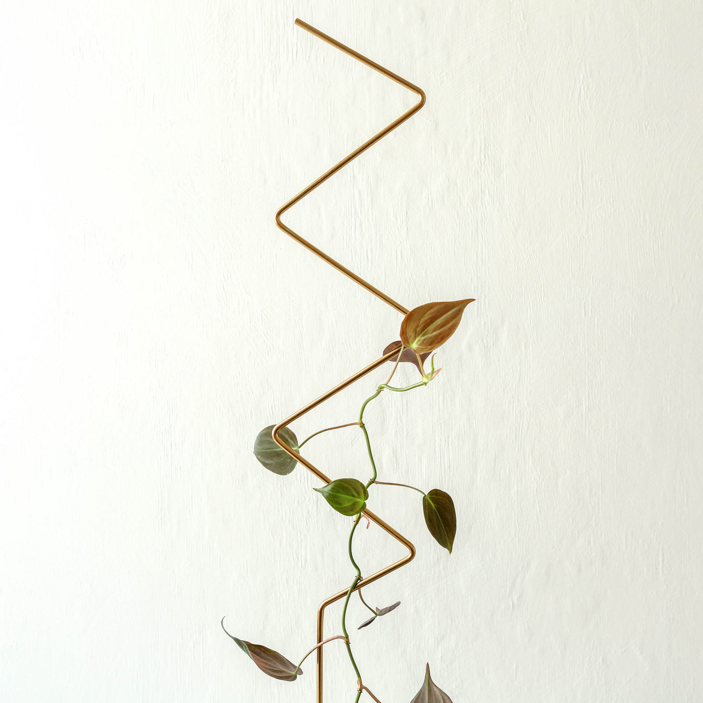 Golden Plant Stake - Zig Zag