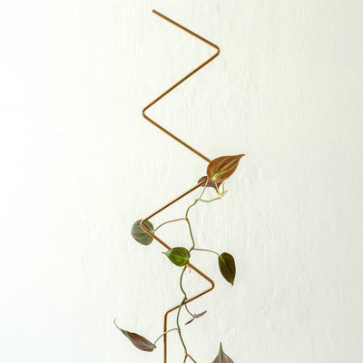 Golden Plant Stake - Zig Zag