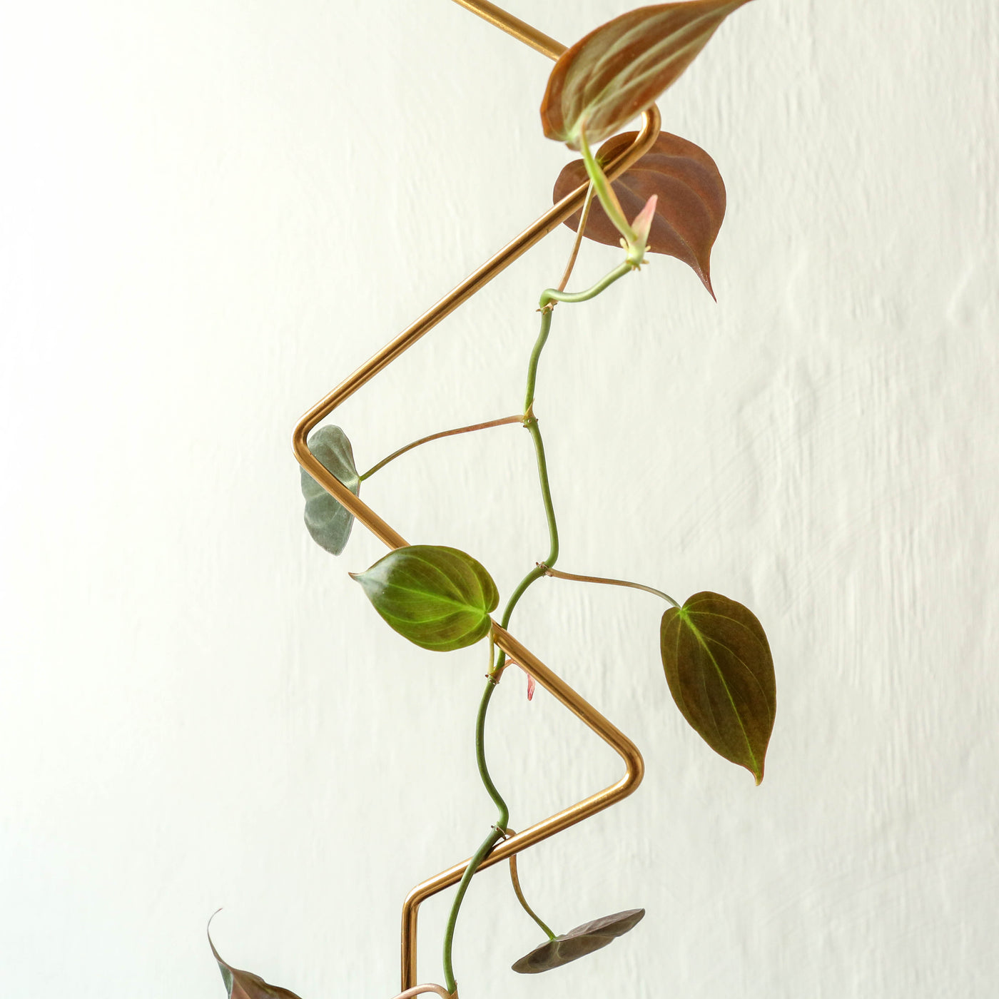 Golden Plant Stake - Zig Zag
