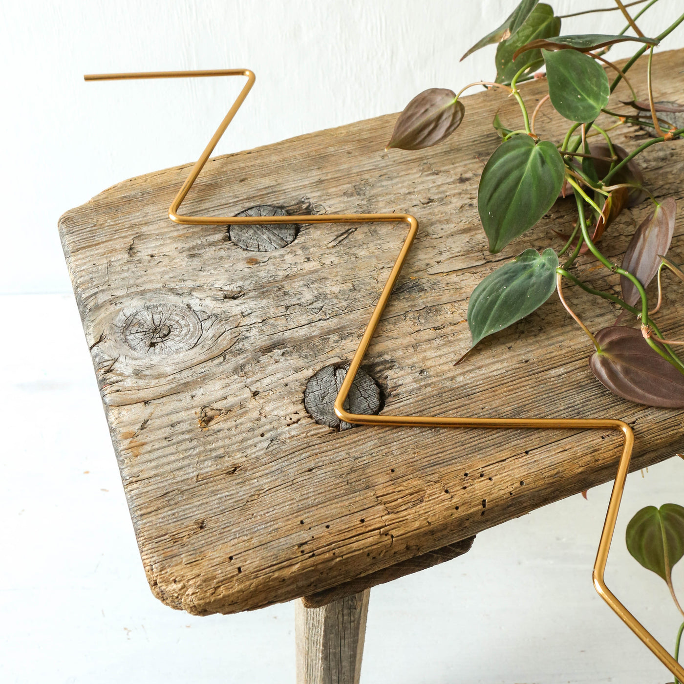 Golden Plant Stake - Zig Zag