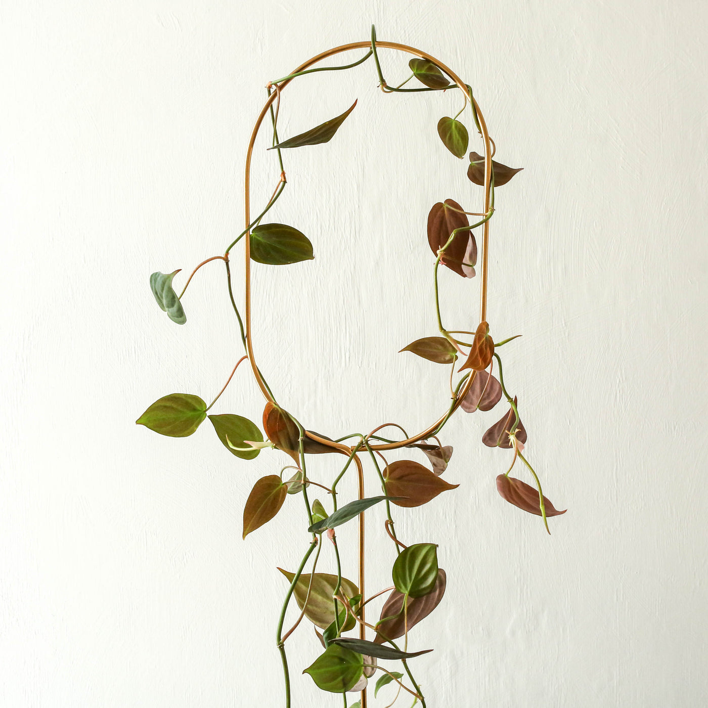 Golden Plant Stake - Arch