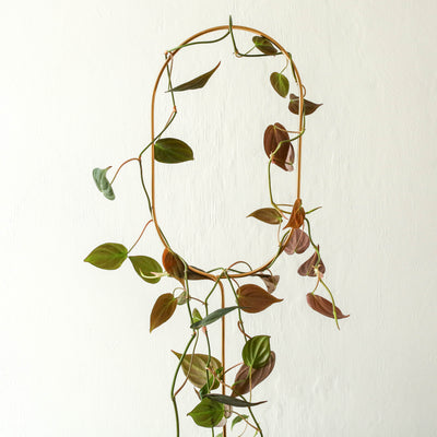 Golden Plant Stake - Arch