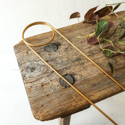 Golden Plant Stake - Pin