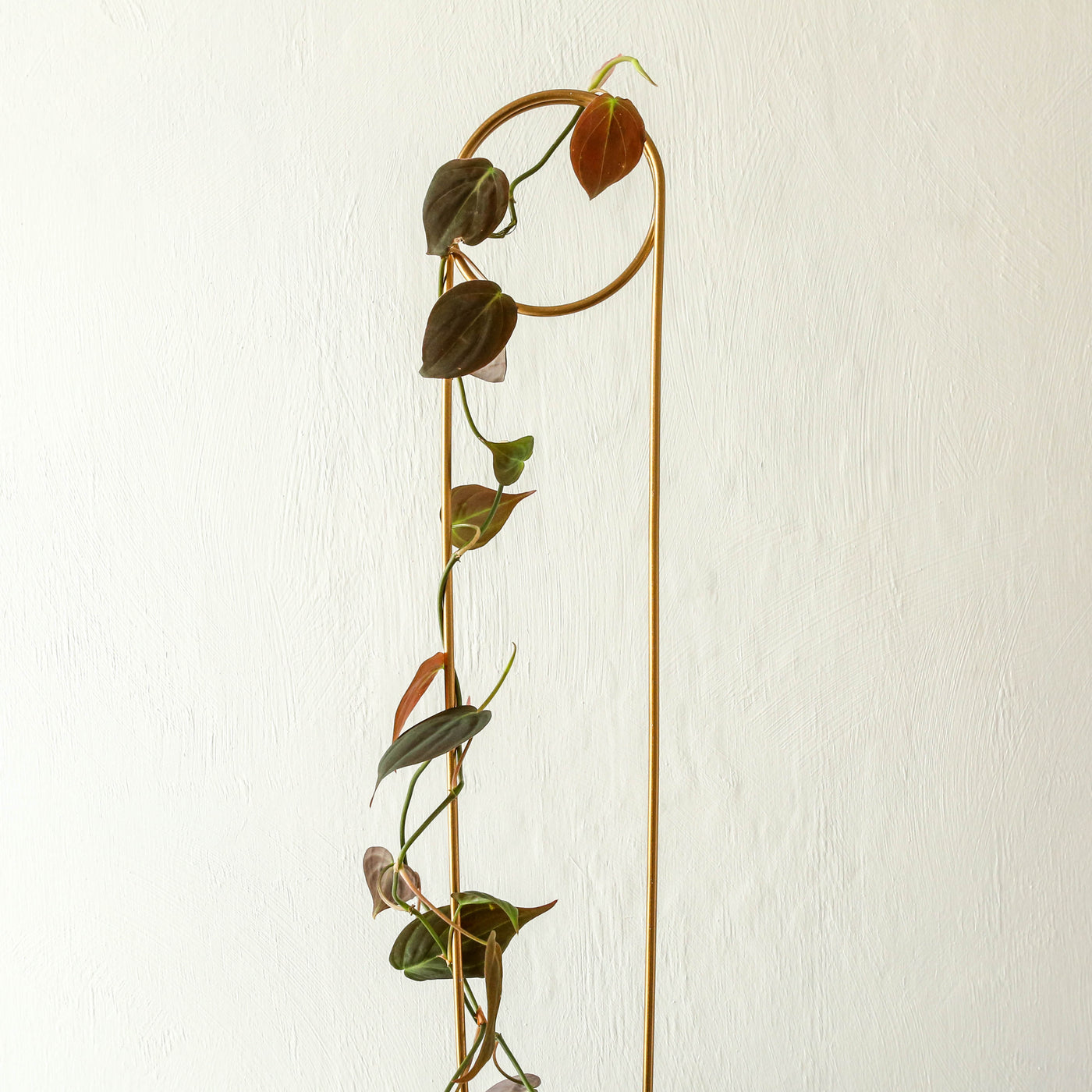 Golden Plant Stake - Pin