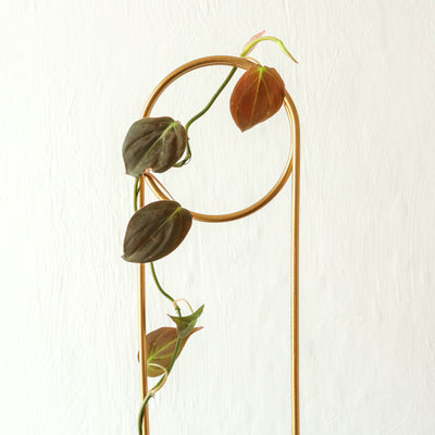 Golden Plant Stake - Pin