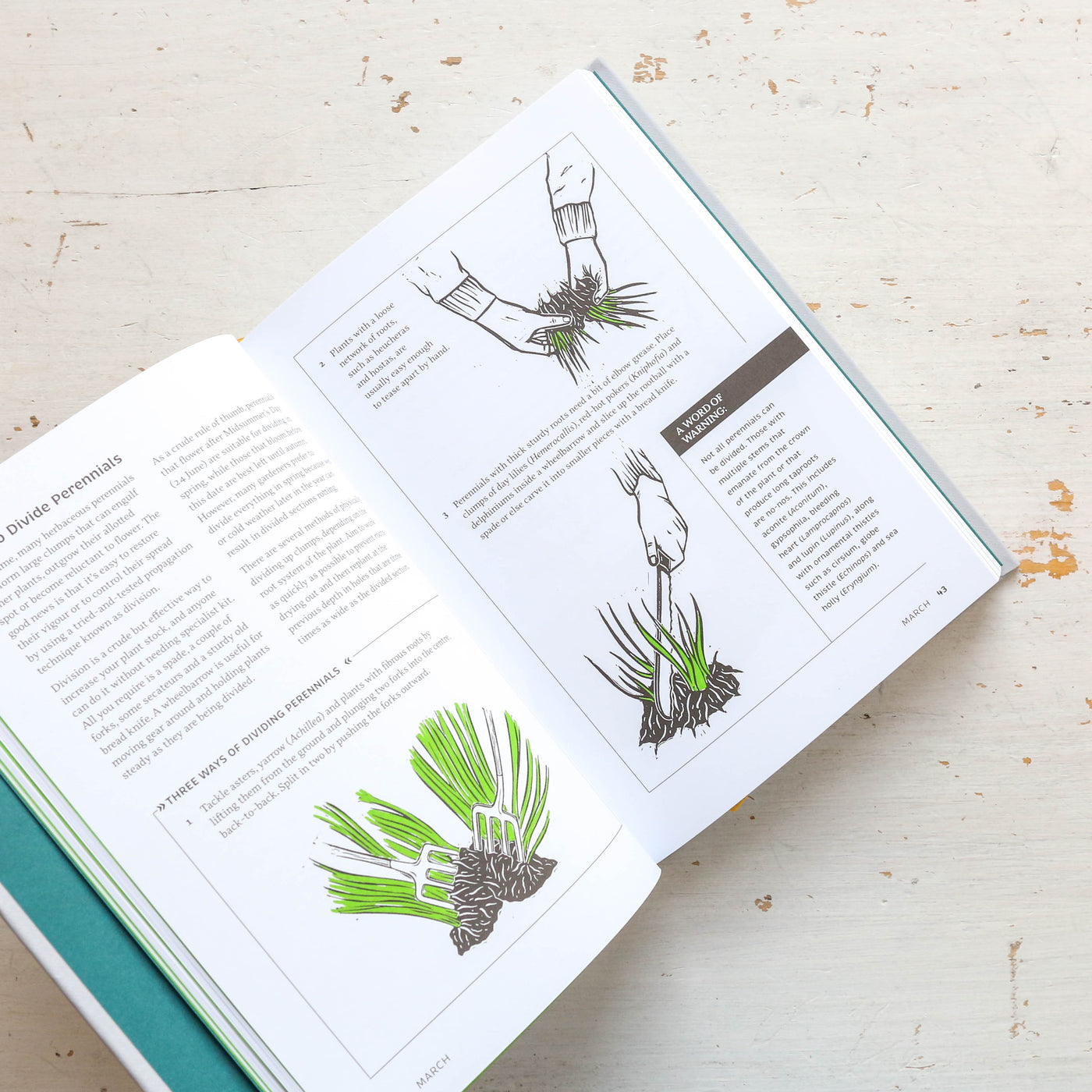 The Gardener's Yearbook : A month-by-month guide