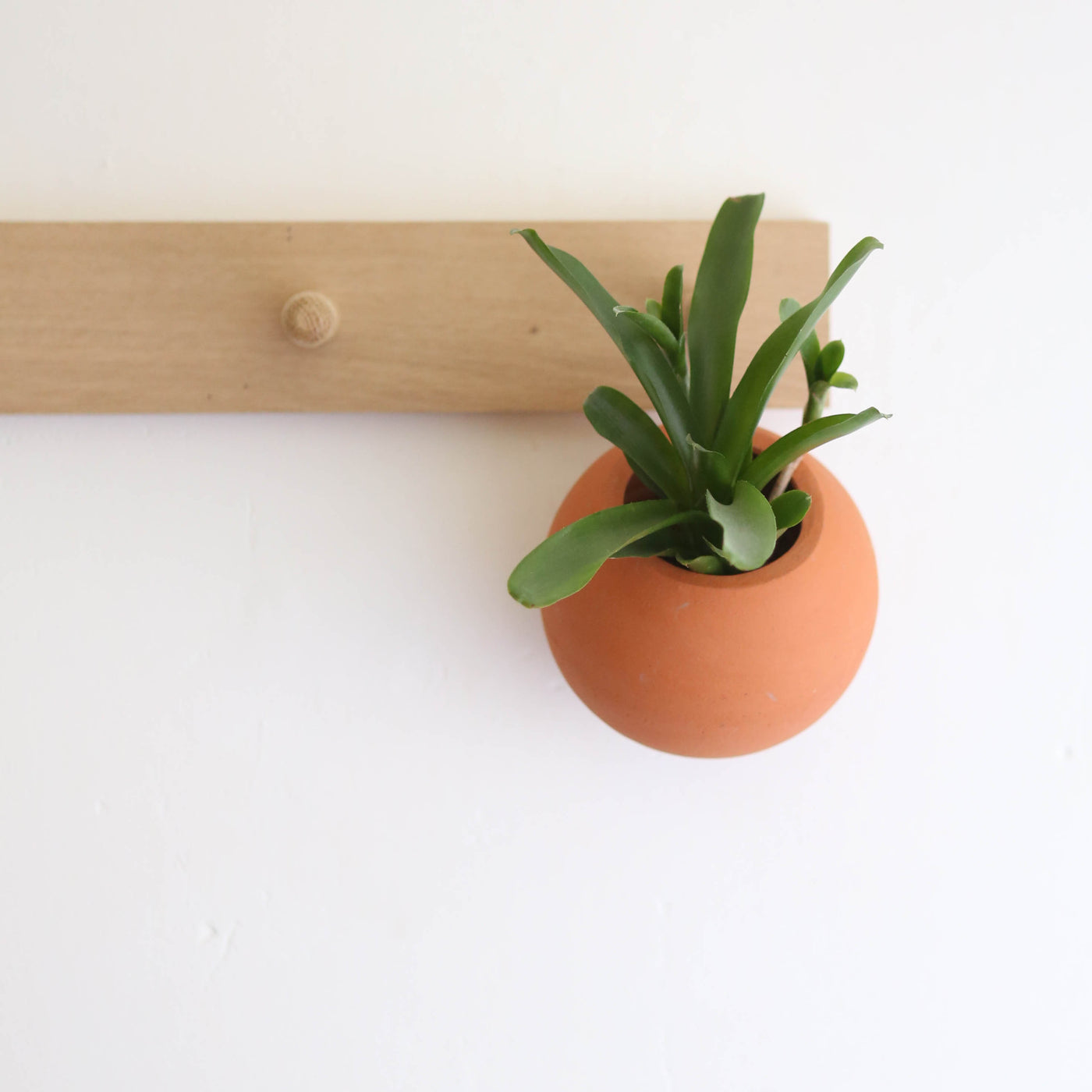 Terracotta Wall Hanging Plant Pot - Medium