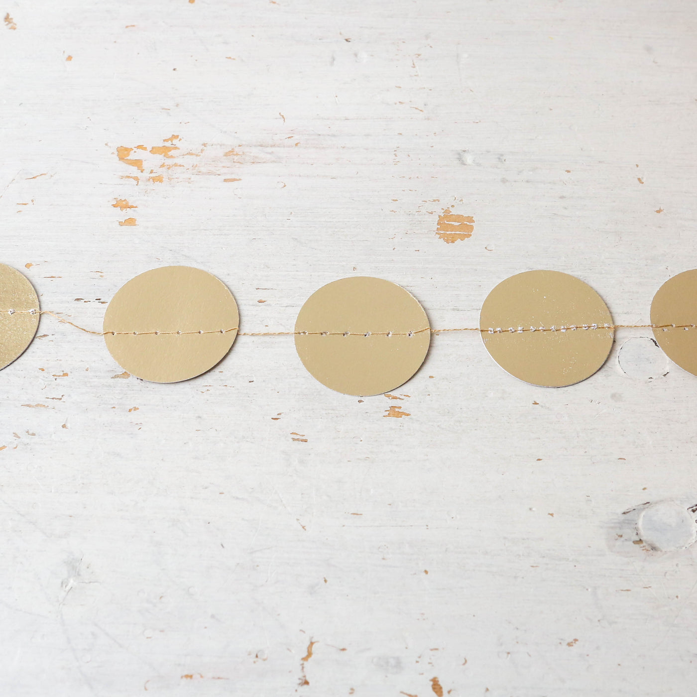2m Foiled Paper Disc Garland - Small