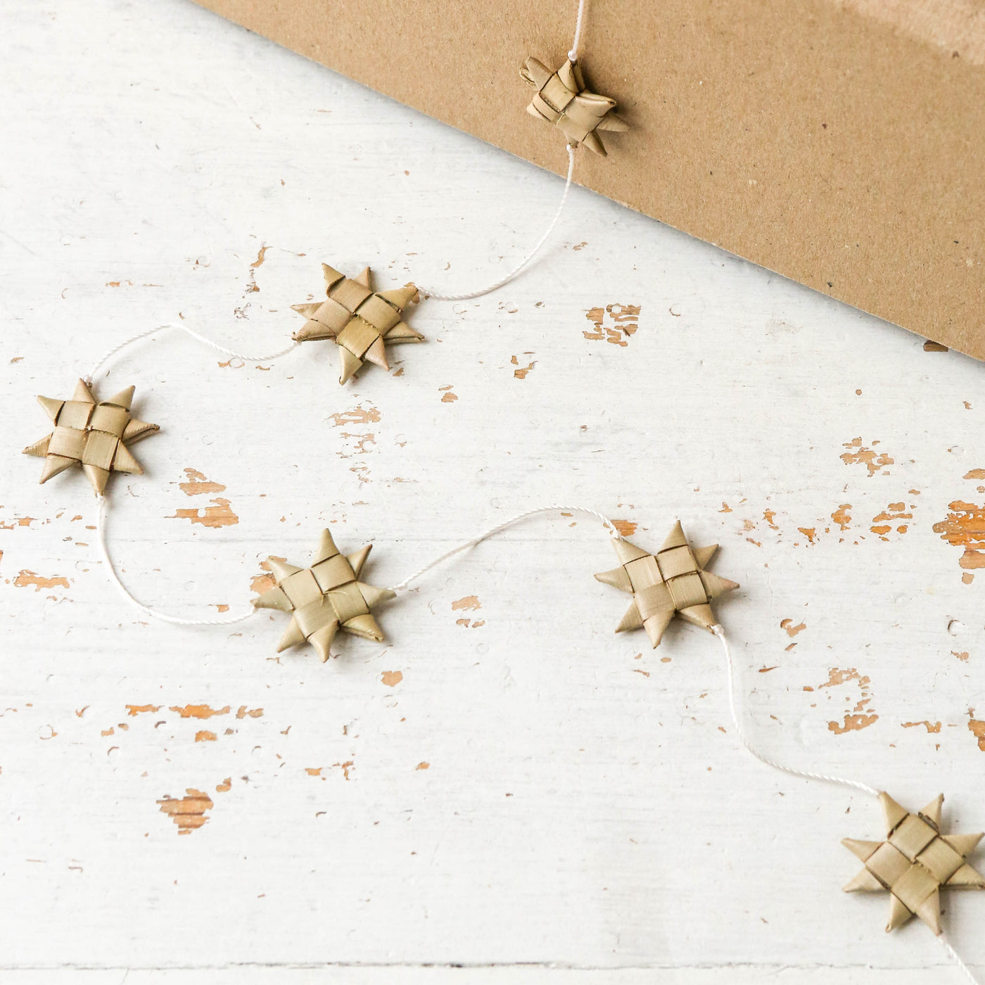 Palm Star Christmas Garland