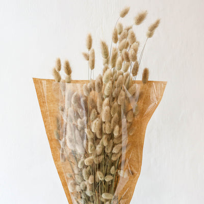 Dried British Lagurus