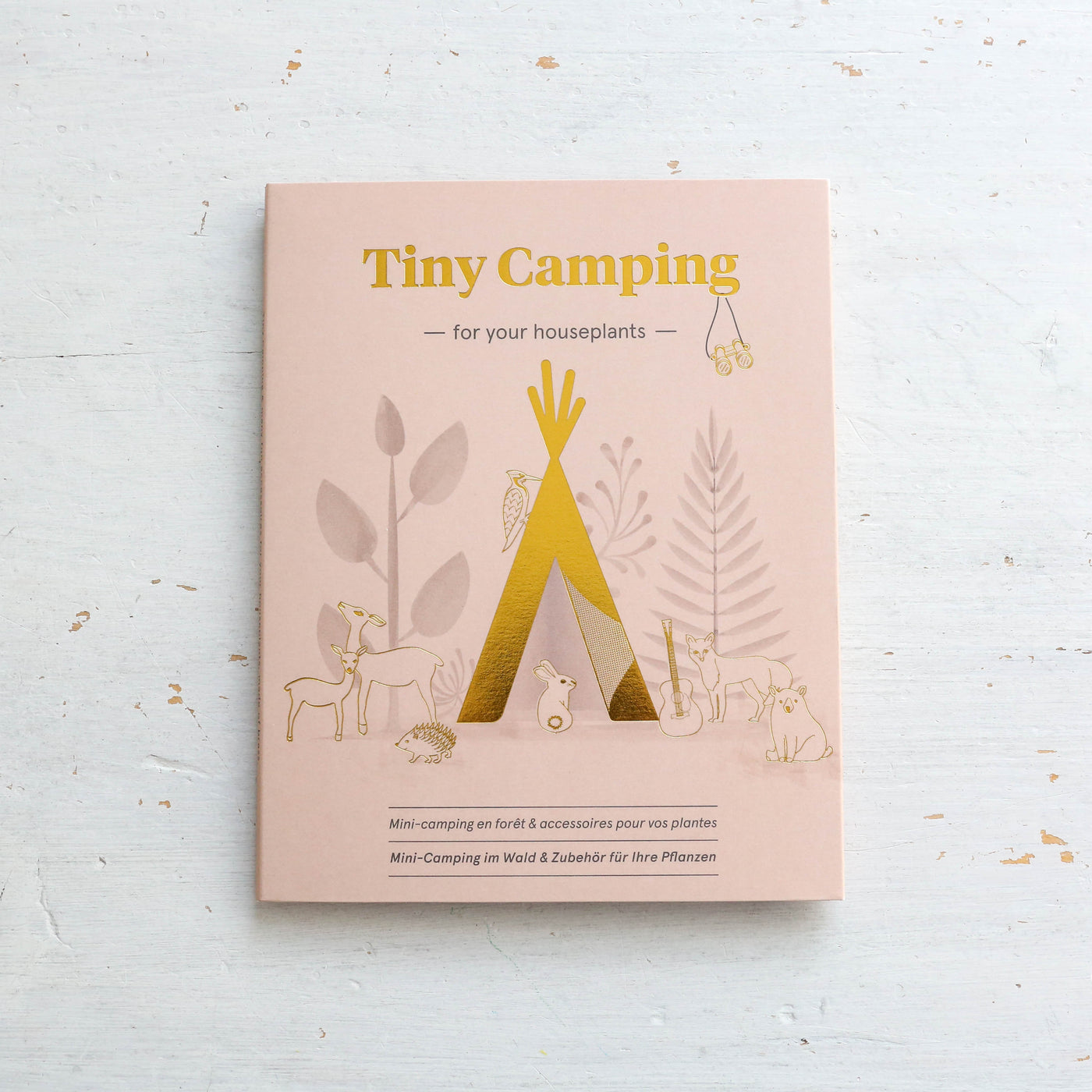Tiny Camping for Your Plants