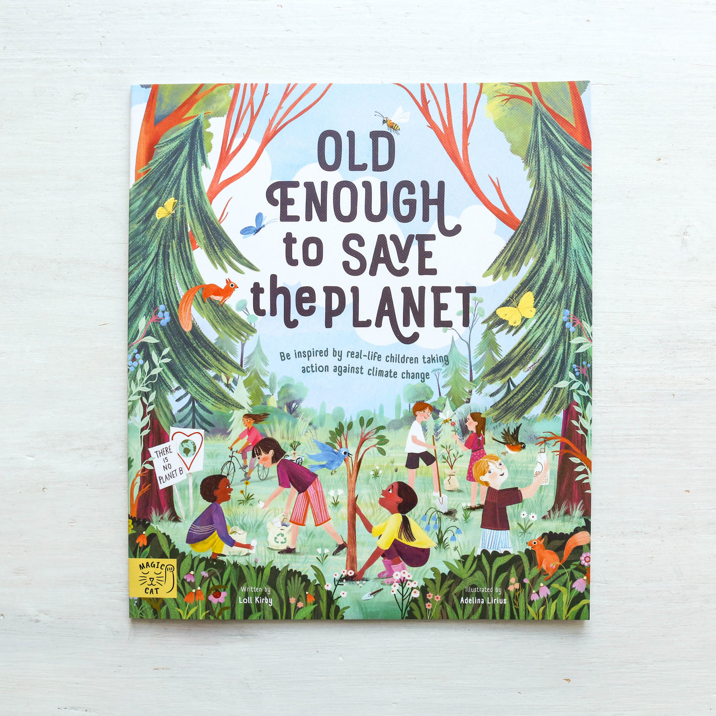 Old Enough to Save the Planet Paperback