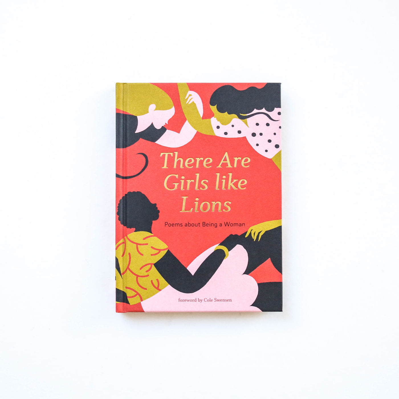 There are Girls Like Lions Poetry Book