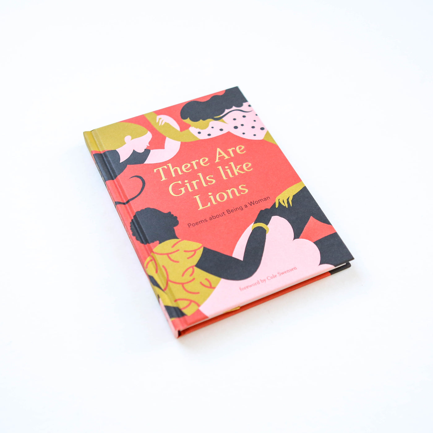 There are Girls Like Lions Poetry Book