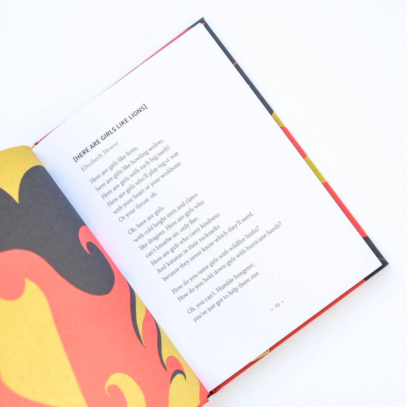There are Girls Like Lions Poetry Book