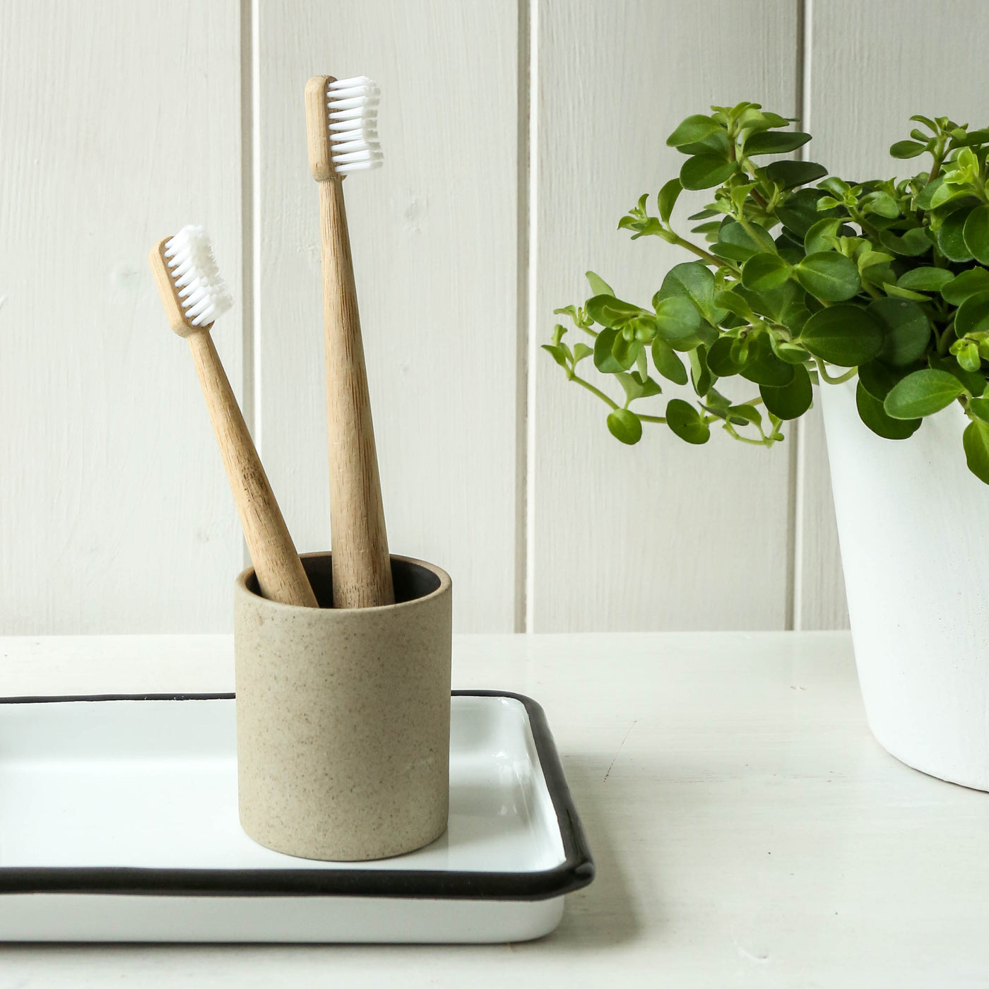 SALE Moso Bamboo Toothbrush