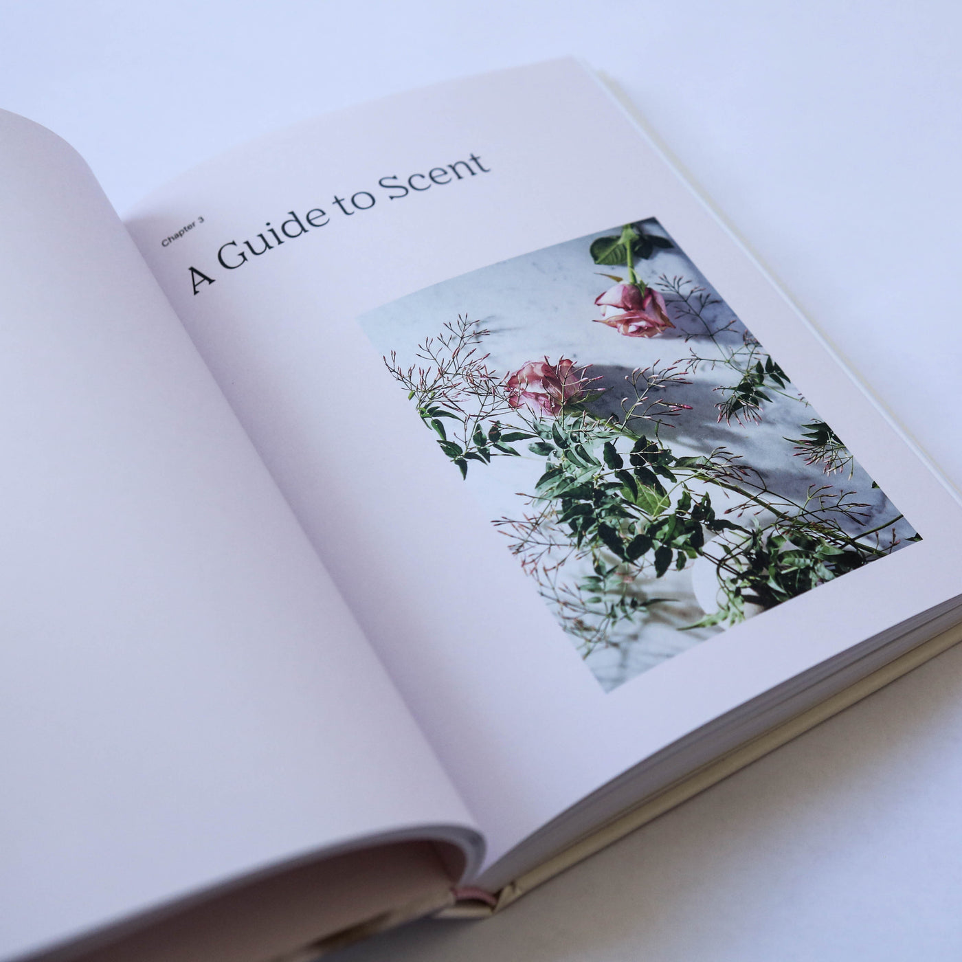 A Scented Life : Aromatherapy reimagined Book