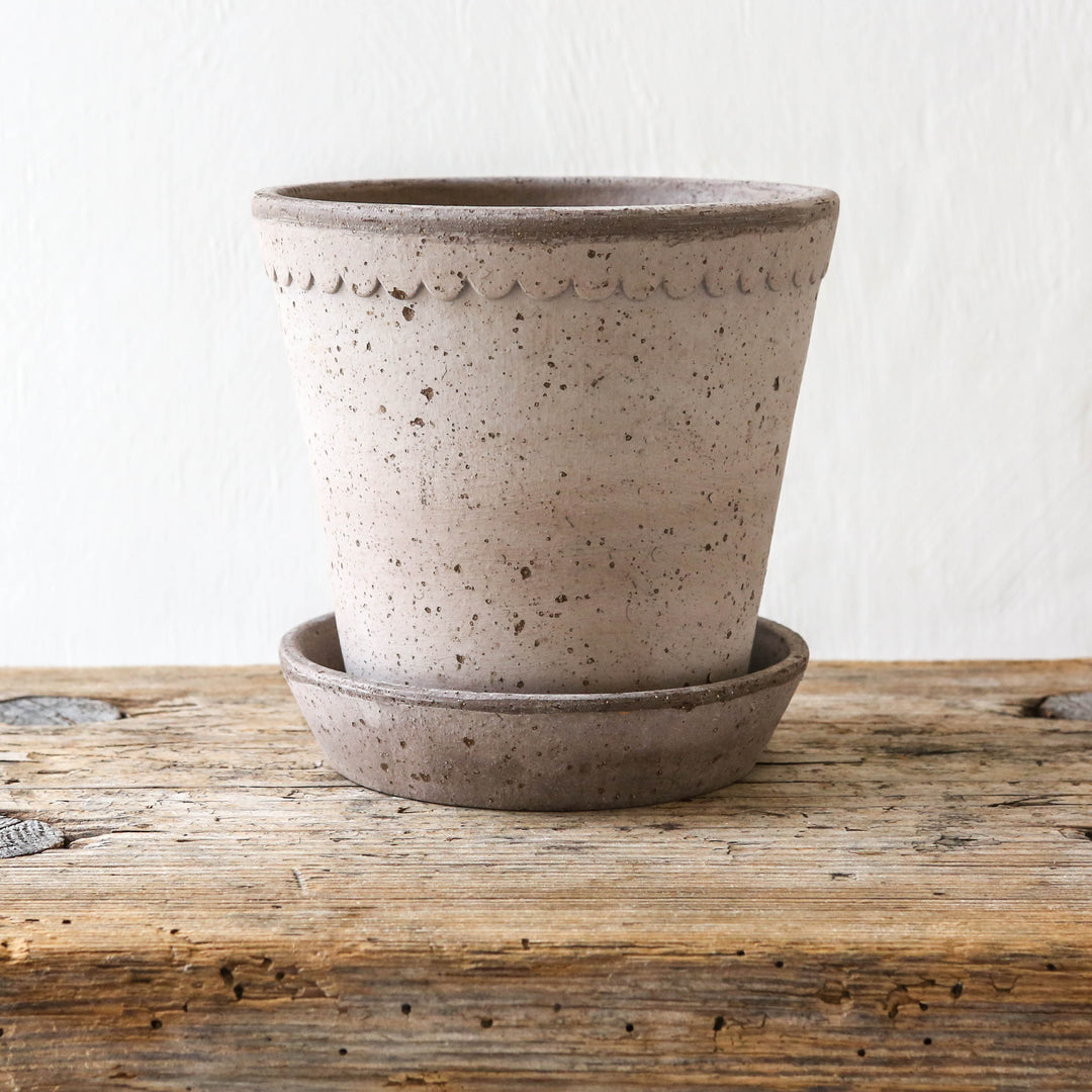 14cm plant pot 14cm Helena Plant Pot & Saucer