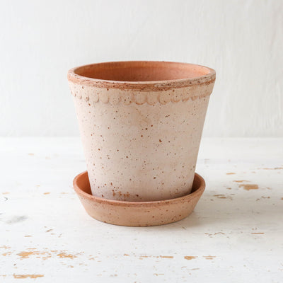 14cm Helena Plant Pot & Saucer - Rose
