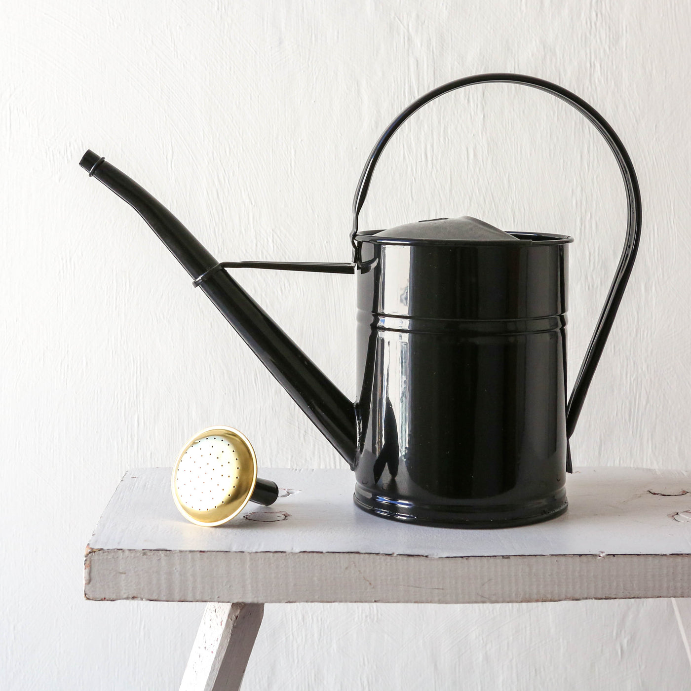 Black Watering Can With Rose