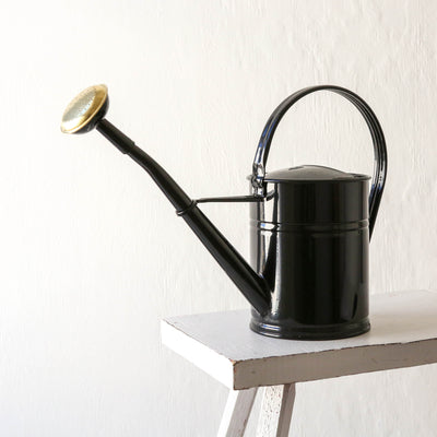 Black Watering Can With Rose