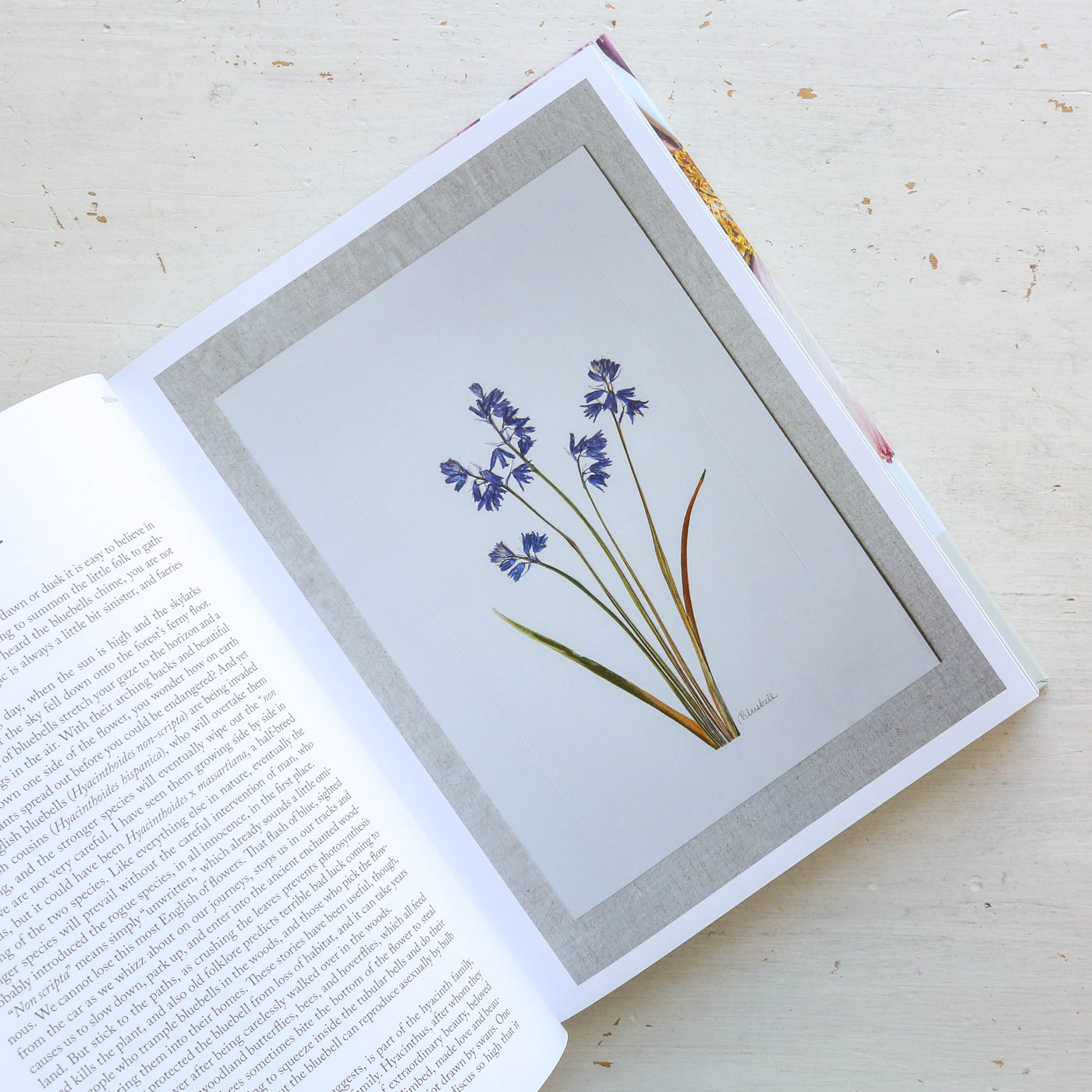 The Modern Flower Press Book