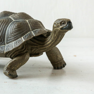 Giant Tortoise