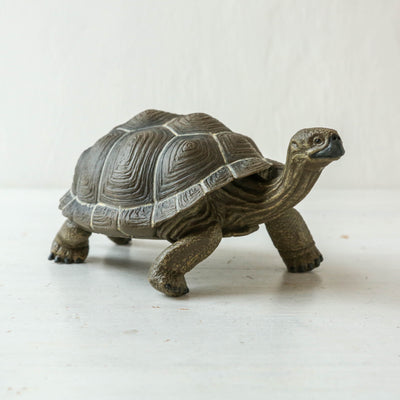 Giant Tortoise