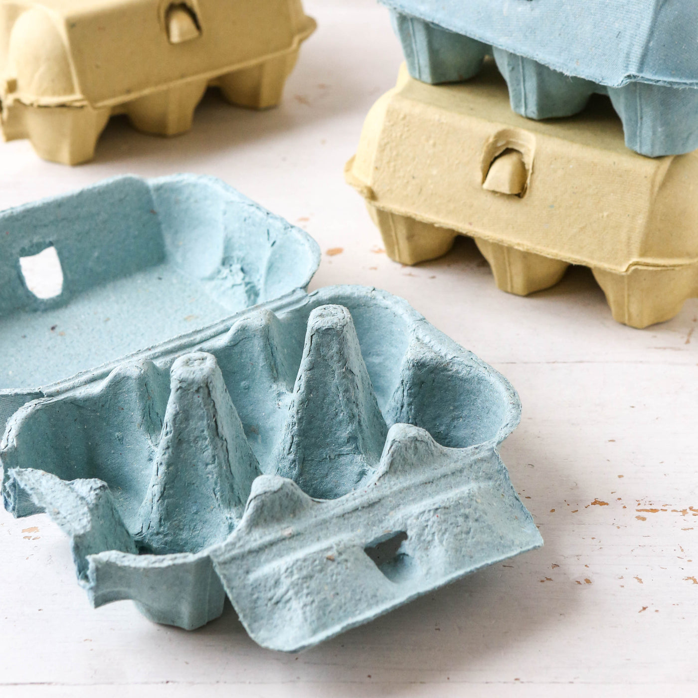Coloured Egg Box for 6 Eggs