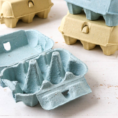 Coloured Egg Box for 6 Eggs