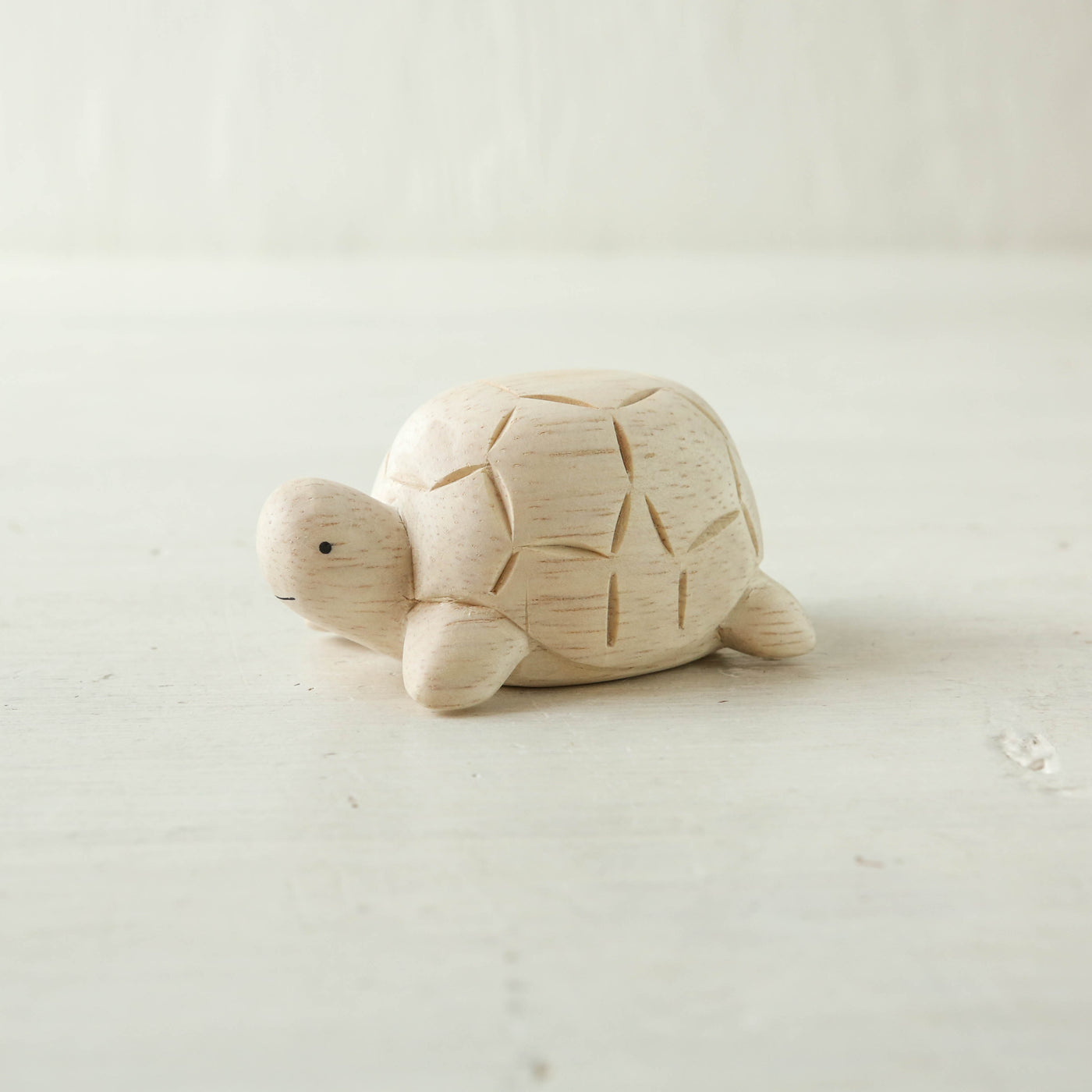 Wooden Turtle