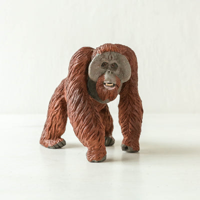 Giant Bornean Orangutan