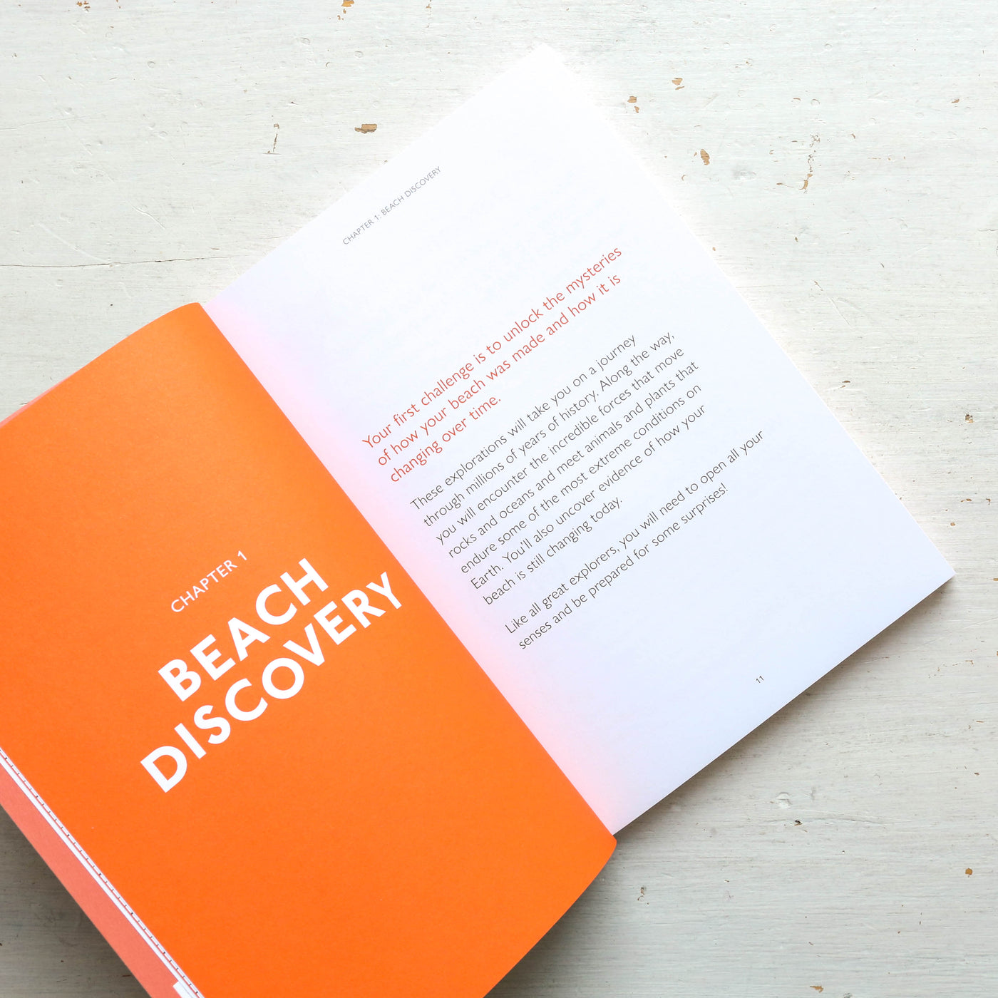 Beach Explorer Book