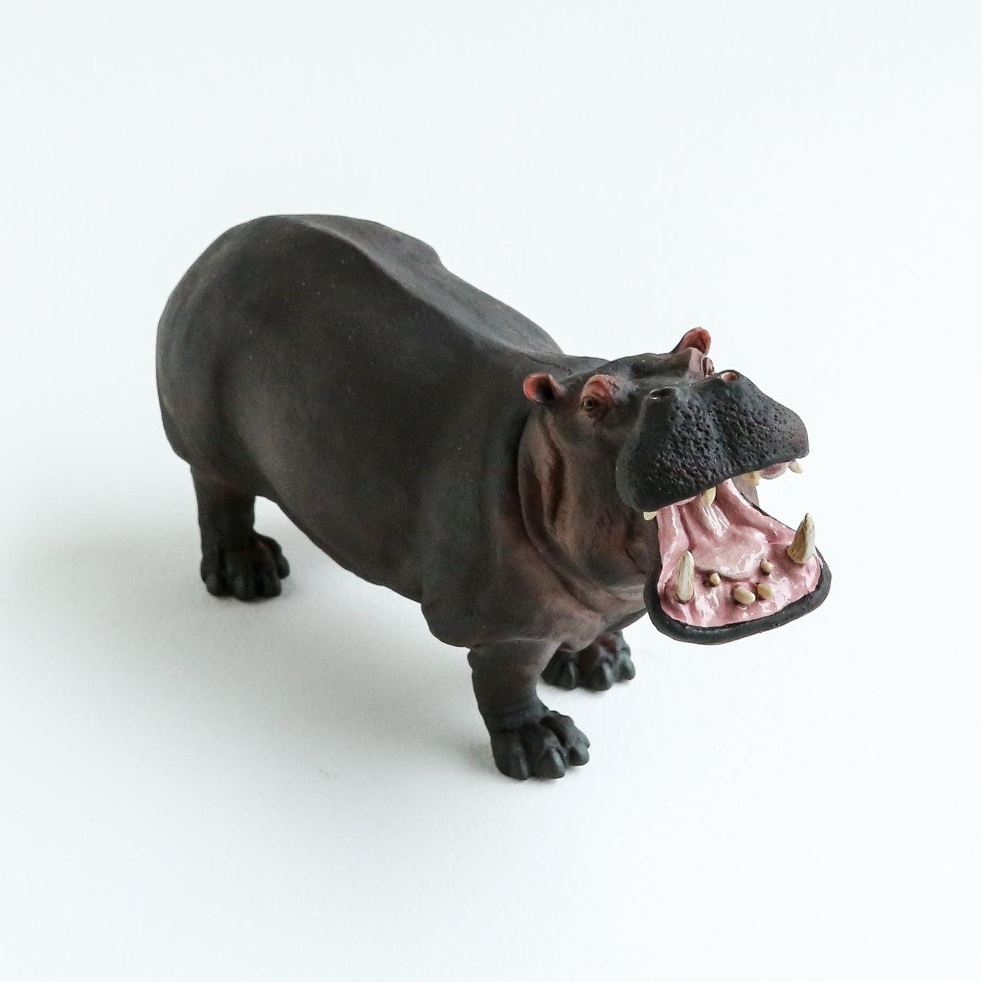 Giant Hippo