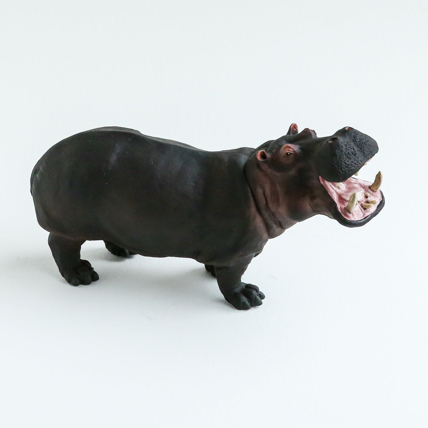 Giant Hippo