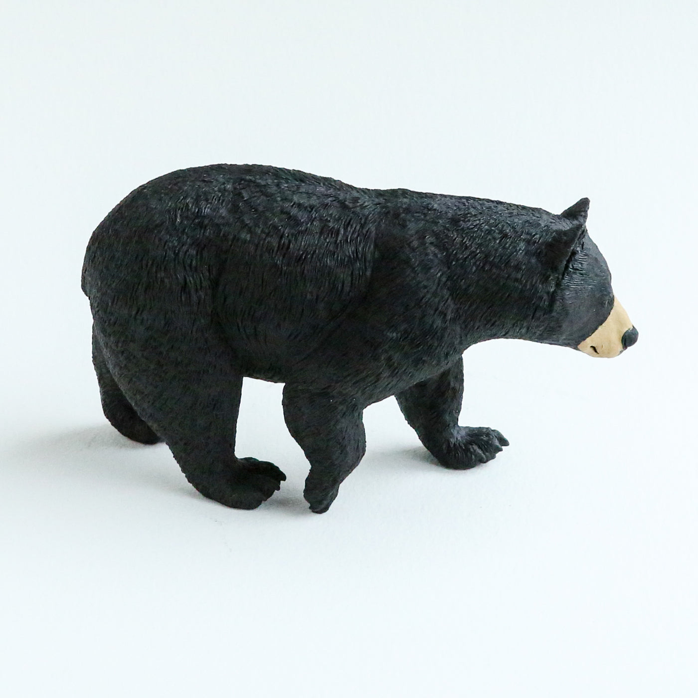Giant Black Bear