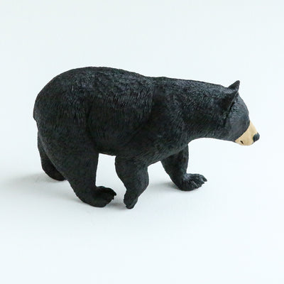 Giant Black Bear