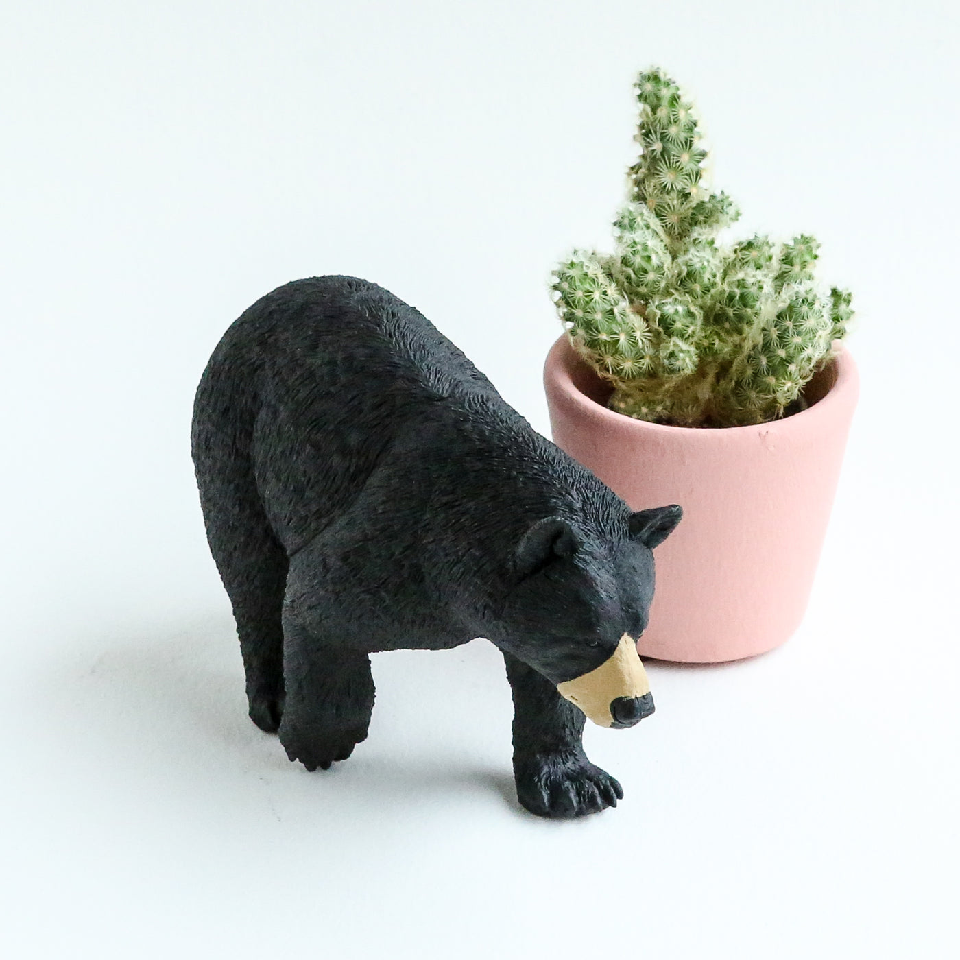 Giant Black Bear