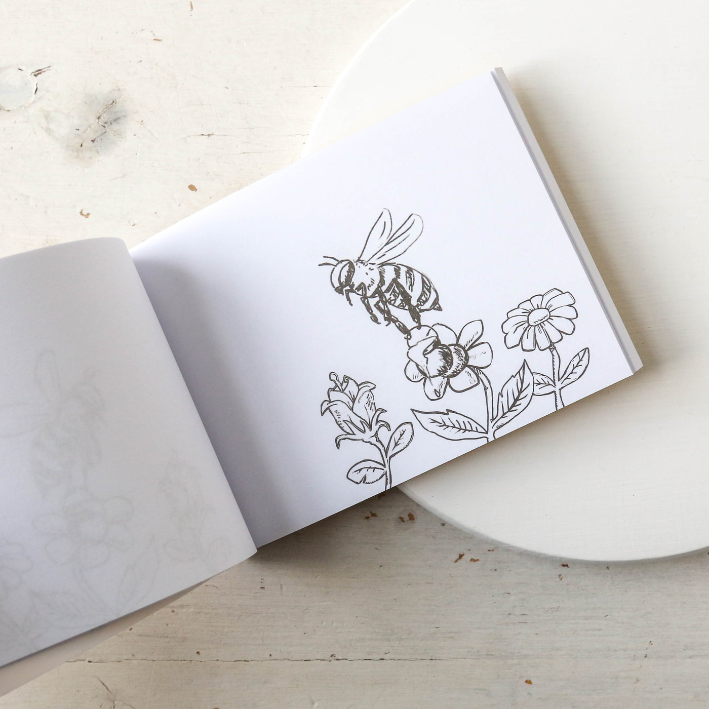 Colour In Flick Book