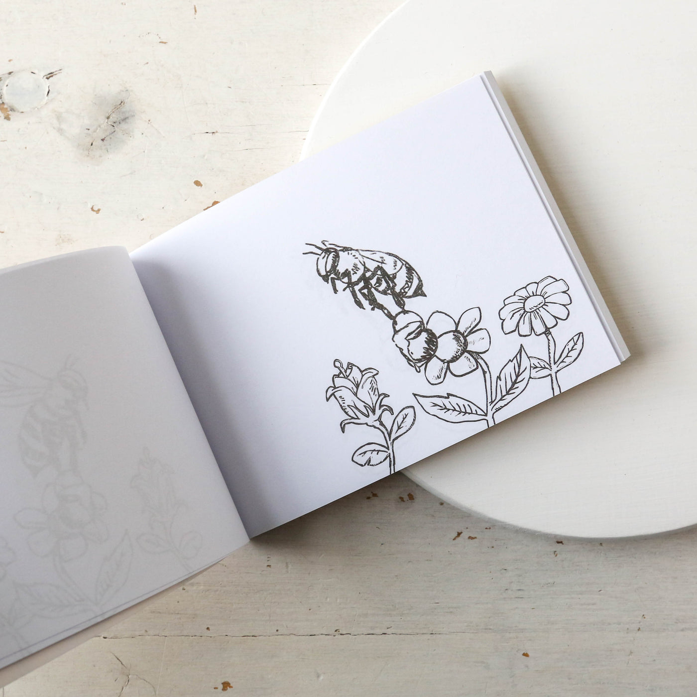 Colour In Flick Book