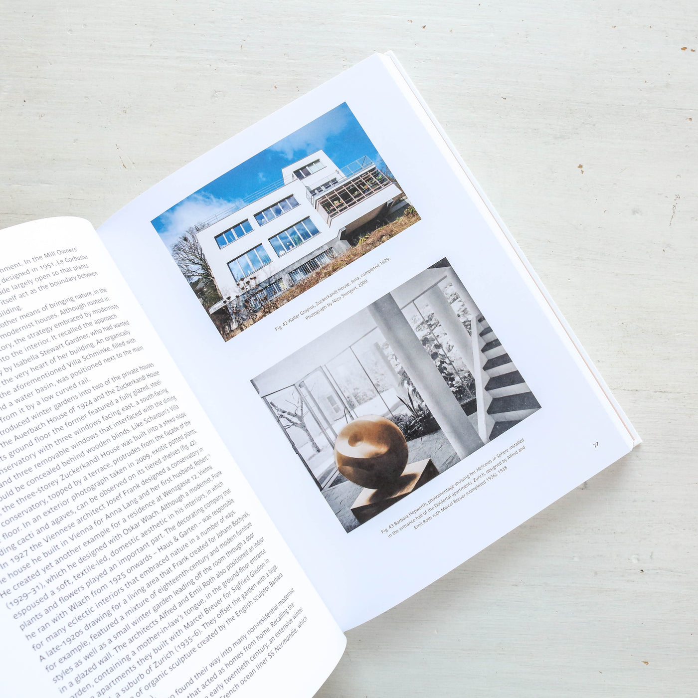SALE Nature Inside : Plants and Flowers in the Modern Interior