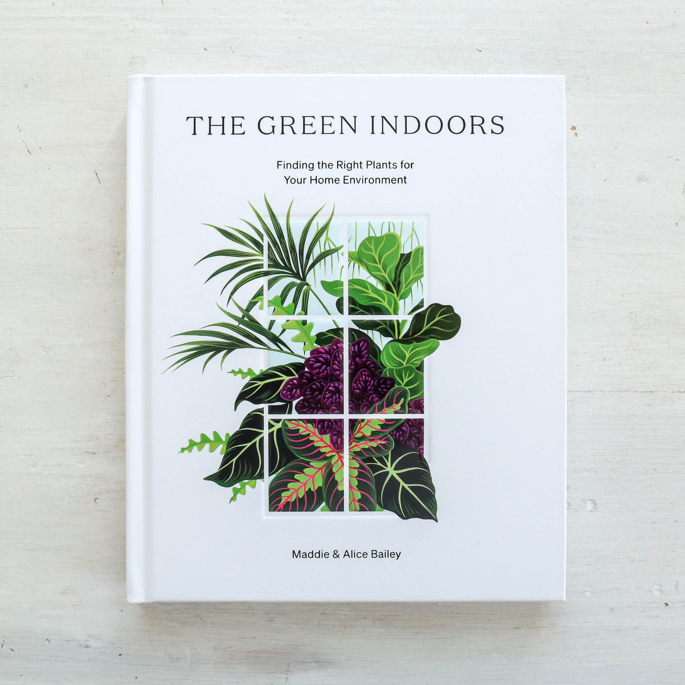 The Green Indoors : Finding the Right Plants for Your Home Environment