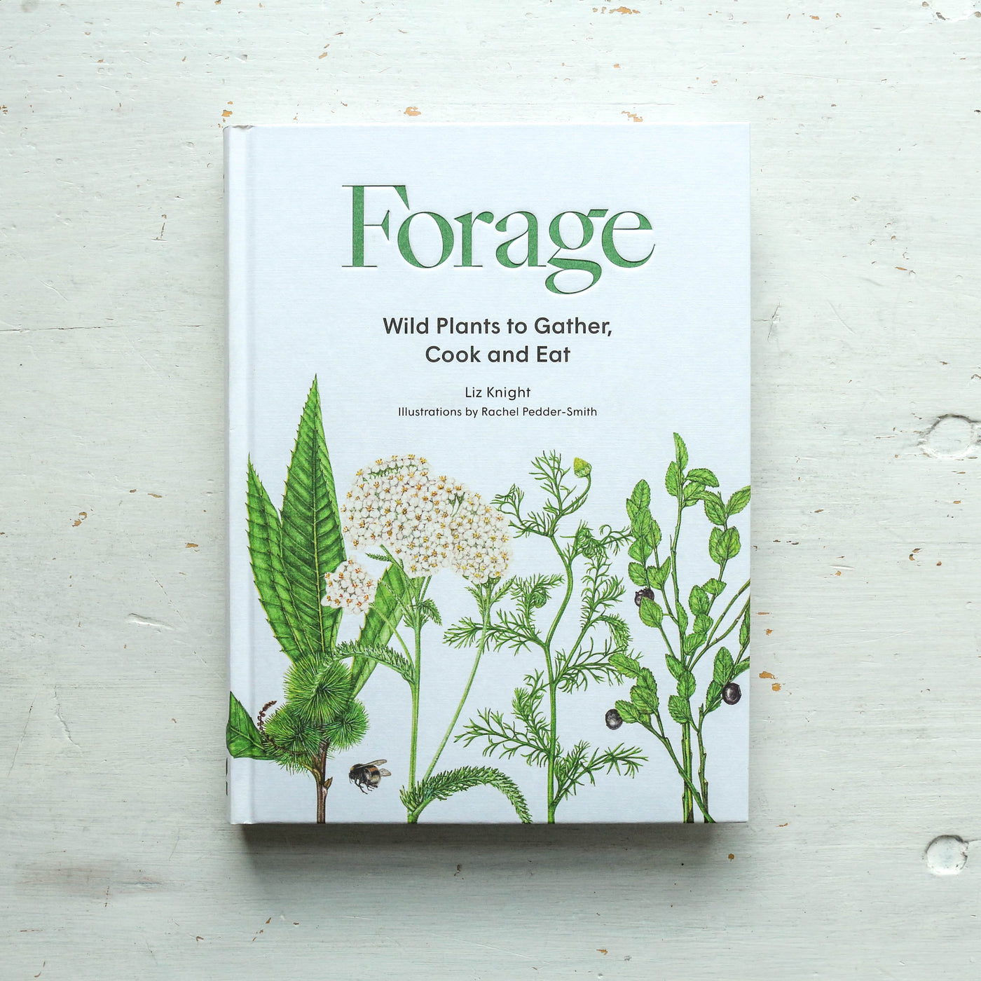 Forage : Wild plants to gather and eat