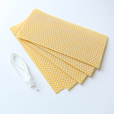 Bee's Wax Candle Making Kit